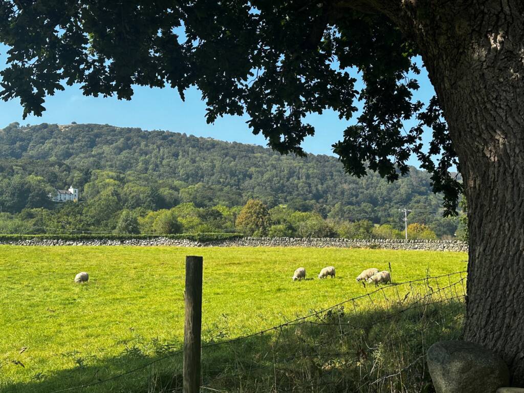 The view from Y Gorlan Holiday Home in Snowdonia