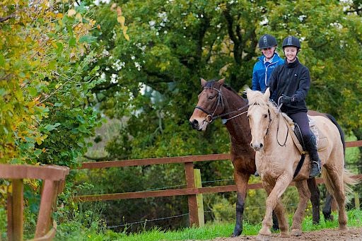 Riding horses at Snowdonia riding stables